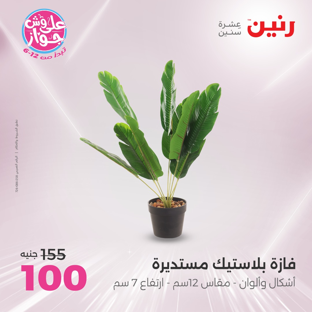 raneen offers from 17jul to 19jun 2025 عروض رنين من 17 يوليو حتى 19 يونيو 2025 صفحة رقم 66